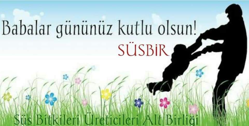 FB IMG 1624124969258