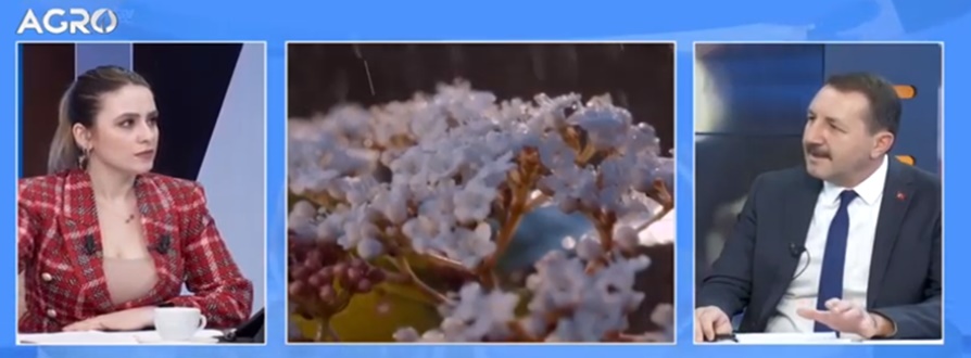agrotvahmetdundar