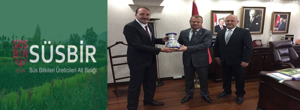 bakan ziyareti kapak