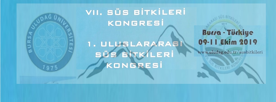 bursasus21