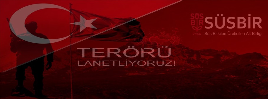 teroru lanetliyoruz
