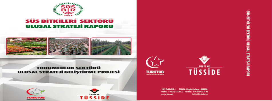 tsegiris