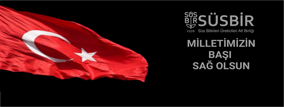 milletimiznbasisagolsun