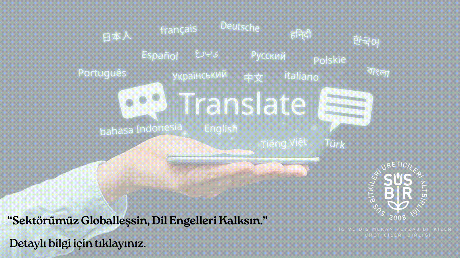 translate